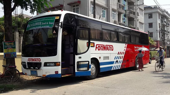 Bus.jpg