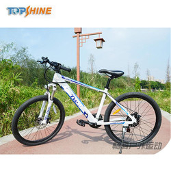 Велосипеды горы ватта 20mph ODM 750 электрические с телефоном руки свободным